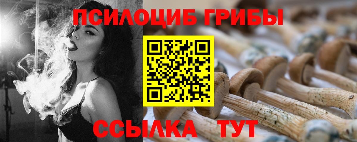 Можайск  Псилоцибиновые грибы прущие грибы  Вход с VPN 